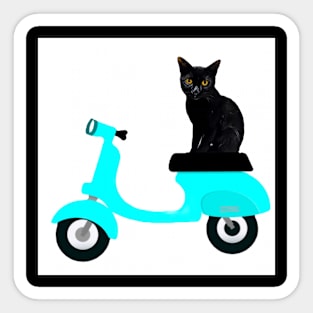 MOTORCYCLE RIDE CAT II Sticker